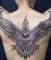 widok z góry na ptaka w locie