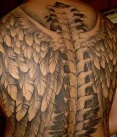 skrzydła anioła tatuaże na plecy