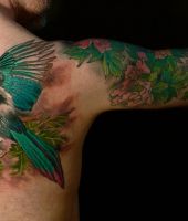 piękny biało zielony ptak