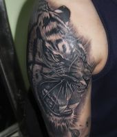tygrys tatuaż na ramieniu