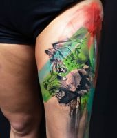 wilk kolorowy tatuaż