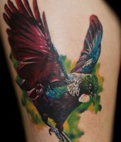 ptak podczas lądowania