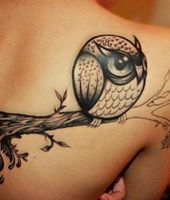 sowa na gałęzi sobie siedzi