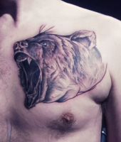 głowa niedźwiedzia