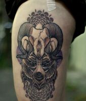 tatuaże zwierzęta czaszki