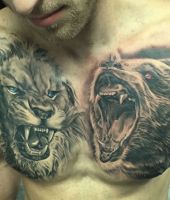 lew i niedźwiedź tatuaże na klatce piersiowej