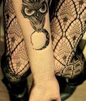 mała sowa z dużymi oczami