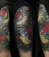 ptak z zółtym brzuchem