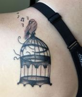 klatka na ptaki i ptak na klatce