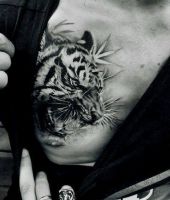 tatuaże na klatce piersiowej dla kobiet - tygrys