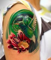 zielony koliber