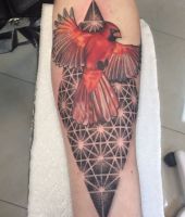 czerwony ptak wzory tatuaży