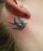 tatuaże za uchem - mała jaksółka