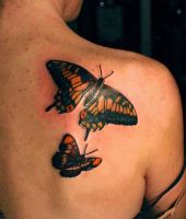 dwa motyle - tatuaże na łopatce