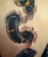3d wąż tatuaż na plecach