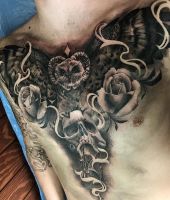 sowa czaszka i róże tatuaże na klatce piersiowej