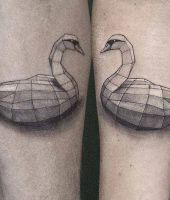 geometryczny łabędź