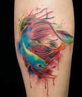 rybka z dużą płetwą