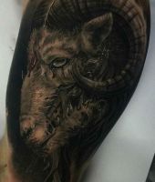 głowa barana tatuaże