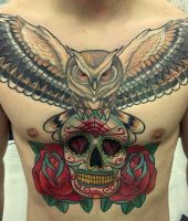 sowa na czaszce i czerwone róże tatuaże na klatce piersiowej