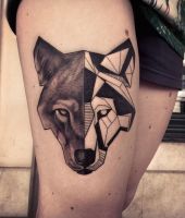 głowa lisa dwie połówki