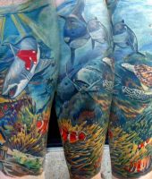 rekin żółw i ryba błazenek - tatuaże