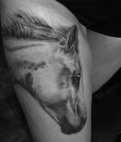 głowa konia wytatuowana na udzie