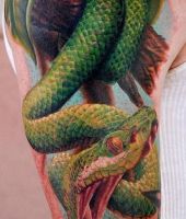 zielony wąż na gałęzi