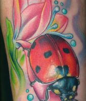 biedronka na kwiatku