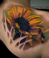 pszczołą na słoneczniku