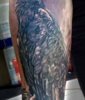 sokół ptak tatuaż