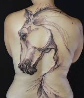 koń - duży tatuaż na plecach