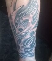 galeria zdjęć 10075