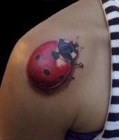 duża biedronka na ramieniu kobiecym