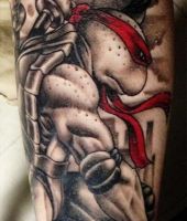 rafael - zółwie ninja