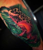 tatuaż z żabą