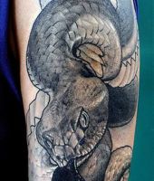 zwinięty wąż tatuaż