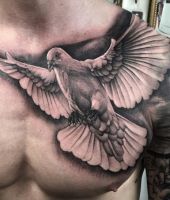 gołąb tatuaż na klatce piersiowej