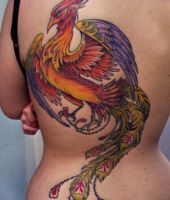 kolorowy feniks tatuaż na plecach kobiety