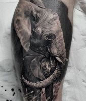 słonie tatuaże na nodze