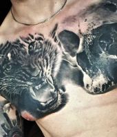 tygrys i czaszka tatuaże na klatce piersiowej