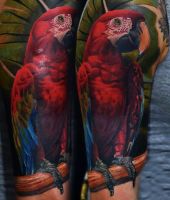 czerwona papuga - tatuaż na ramieniu