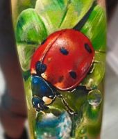 biedronaka na liściu - realistyczne tatuaże