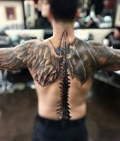 skrzydło anioła i demona