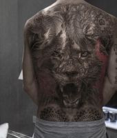 wzory tatuażu - lew na plecach