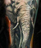 realistycznie wygladający słoń