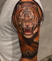 tygrys na ramieniu - tatuaże zdjęcia