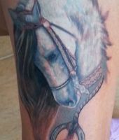 biały koń tatuaż na ramieniu