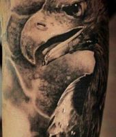 drapieżne ptaki tatuaże