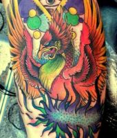 feniks, kolorowy tatuaż